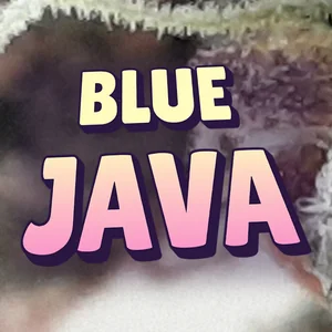 Blue Java Cannabis Strain