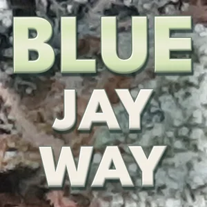 Blue Jay Way Cannabis Strain