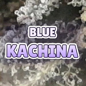 Blue Kachina Cannabis Strain