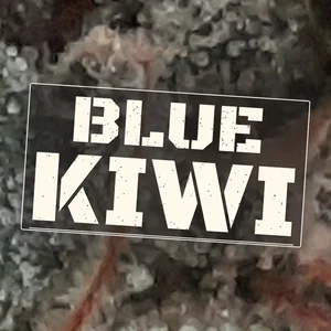 Blue Kiwi Cannabis Strain