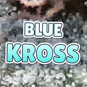 Blue Kross Cannabis Strain