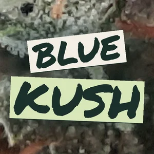 Blue Kush Cannabis Strain