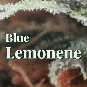 Blue Lemonene Cannabis Strain