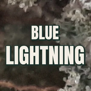 Blue Lightning Cannabis Strain