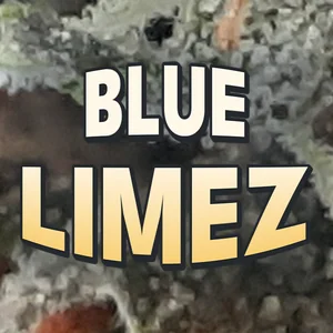 Blue Limez Cannabis Strain