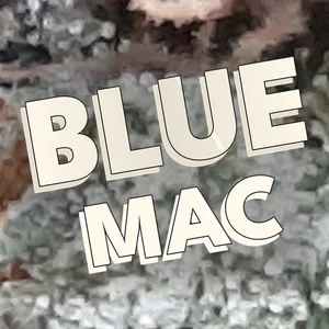 Blue MAC Cannabis Strain