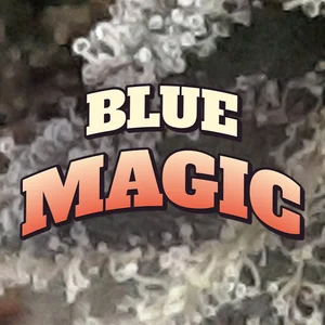 Blue Magic Cannabis Strain