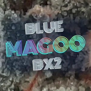 Blue Magoo BX2 Cannabis Strain