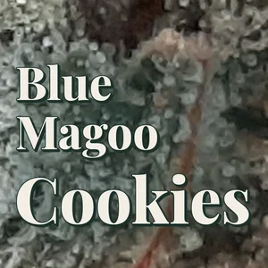Blue Magoo Cookies Cannabis Strain