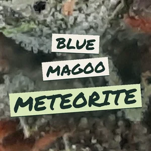 Blue Magoo Meteorite Cannabis Strain