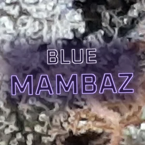 Blue Mambaz Cannabis Strain
