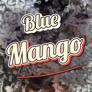 Blue Mango Cannabis Strain