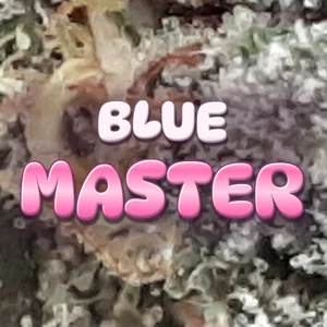 Blue Master Cannabis Strain