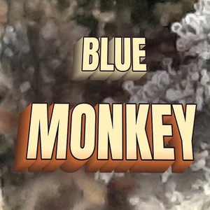 Blue Monkey Cannabis Strain