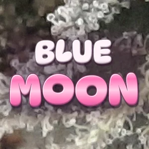Blue Moon Cannabis Strain