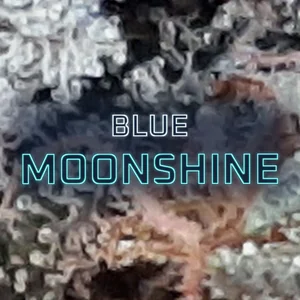 Blue Moonshine Cannabis Strain