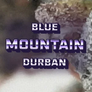 Blue Mountain Durban Cannabis Strain