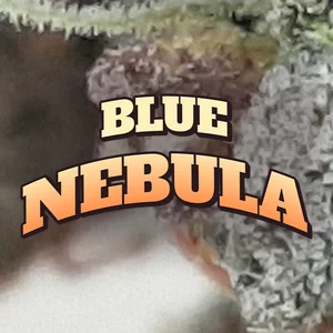 Blue Nebula Cannabis Strain