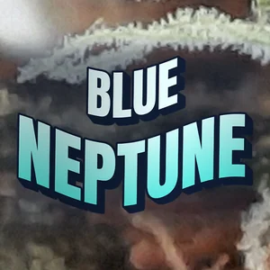 Blue Neptune Cannabis Strain