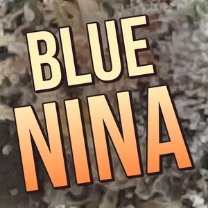 Blue Nina Cannabis Strain