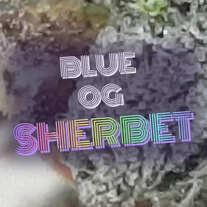 Blue OG Sherbet Cannabis Strain