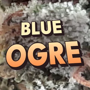 Blue Ogre Cannabis Strain
