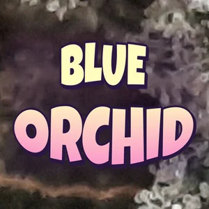 Blue Orchid Cannabis Strain