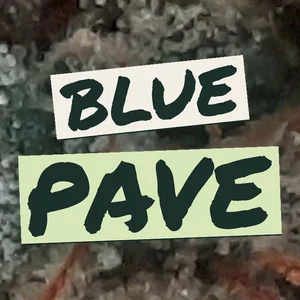 Blue Pave Cannabis Strain