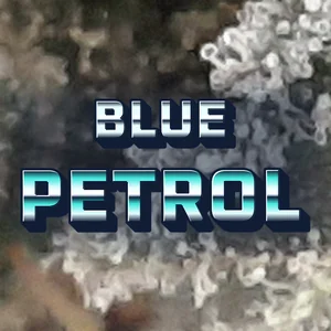 Blue Petrol Cannabis Strain