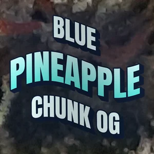 Blue Pineapple Chunk OG Cannabis Strain
