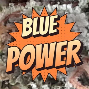 Blue Power Cannabis Strain