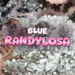 Blue Randylosa Cannabis Strain
