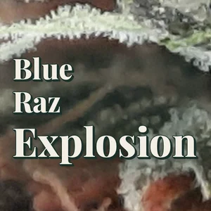 Blue Raz Explosion Cannabis Strain