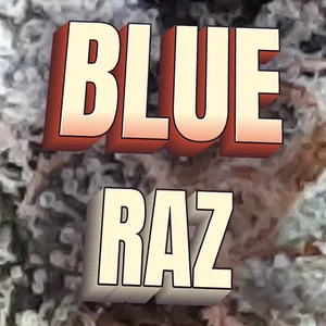 Blue Raz Cannabis Strain