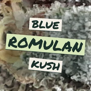 Blue Romulan Kush Cannabis Strain