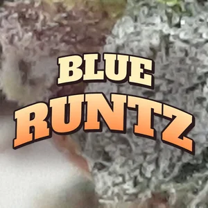 Blue Runtz Cannabis Strain