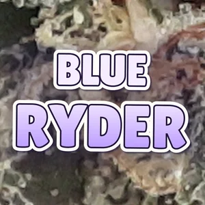 Blue Ryder Cannabis Strain