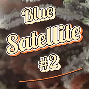 Blue Satellite #2 Cannabis Strain