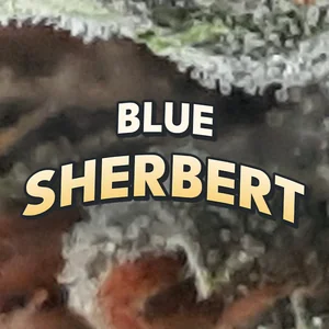 Blue Sherbert Cannabis Strain