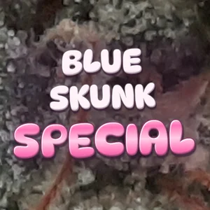 Blue Skunk Special Cannabis Strain