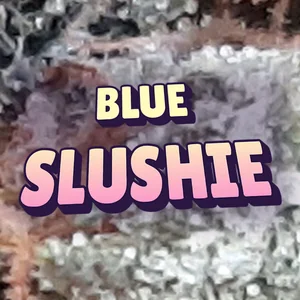 Blue Slushie Cannabis Strain