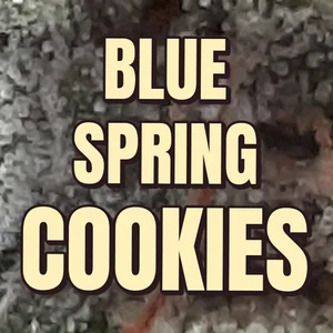 Blue Spring Cookies Cannabis Strain