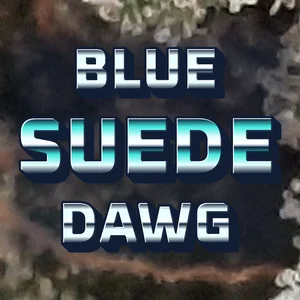 Blue Suede Dawg Cannabis Strain