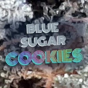Blue Sugar Cookies Cannabis Strain