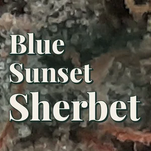 Blue Sunset Sherbet Cannabis Strain