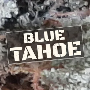 Blue Tahoe Cannabis Strain