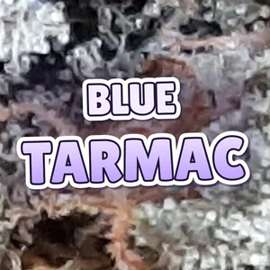 Blue Tarmac Cannabis Strain