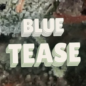 Blue Tease Cannabis Strain