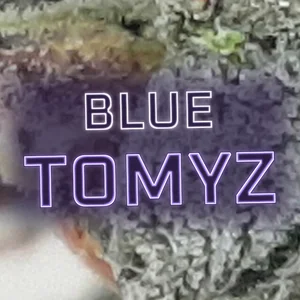 Blue Tomyz Cannabis Strain