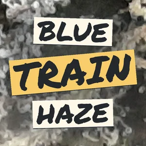 Blue Train Haze Cannabis Strain